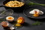 Cuisiner avec des œufs : tout savoir pour bien les préparer
