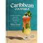 Caribbean Cocktails: Drinks and Bites from the Afro-Latino Diaspora [A Cocktail and Non-Alcoholic Drink Recipe Book]