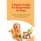 Ultimate Guide To Pancreatitis In Dogs: How To Spot It And Get It Treated: Pancreatitis Diet Recipes