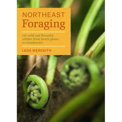 Northeast Foraging: 120 Wild and Flavorful Edibles from Beach Plums to Wineberries