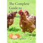 The Complete Guide to Chicken Farming: From Egg to Table
