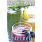 Fermenting vol. 4: Water Kefir