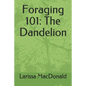 Foraging 101: The Dandelion