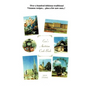 Eva's Austrian Cookbook