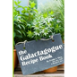 The Galactagogue Recipe Book
