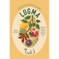 Lugma: Abundant Dishes and Stories from My Middle East